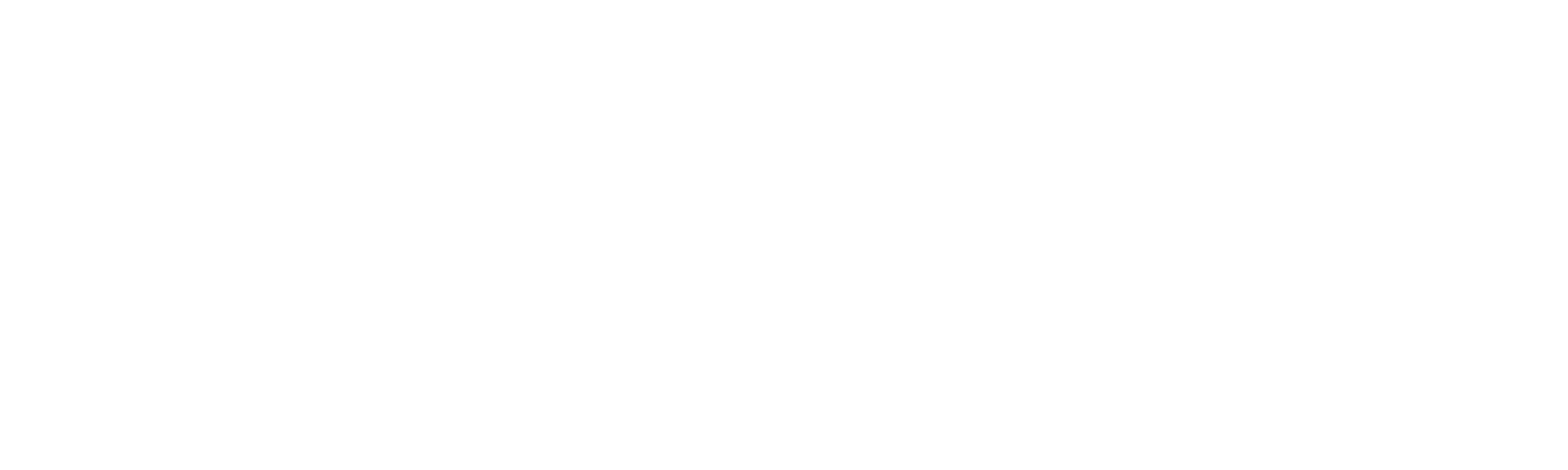 cloud logo ff - white-01